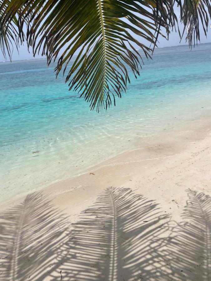 Sailingyacht in San Blas Isla Wichitupo Grande Exterior foto