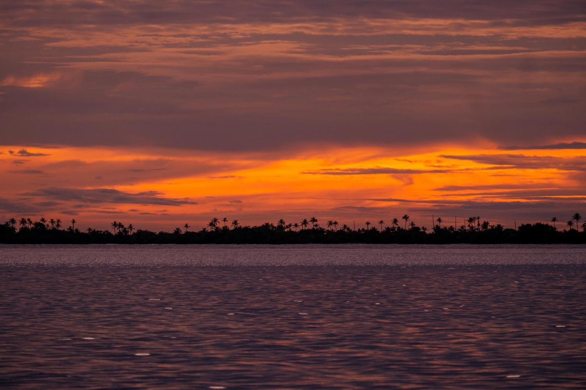 Sailingyacht in San Blas Isla Wichitupo Grande Exterior foto